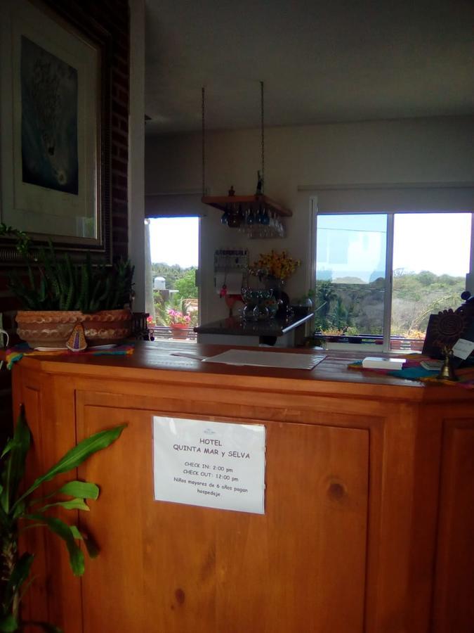 Hotel Quinta Mar Y Selva Chacala  Eksteriør billede