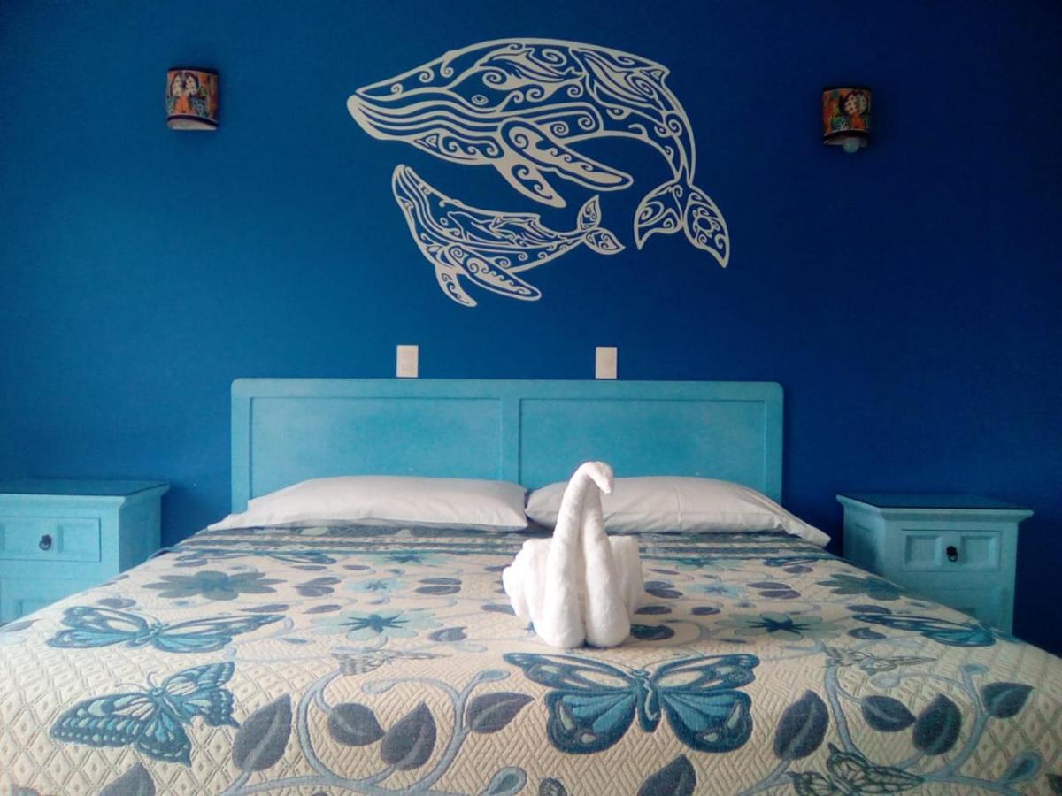 Hotel Quinta Mar Y Selva Chacala  Eksteriør billede